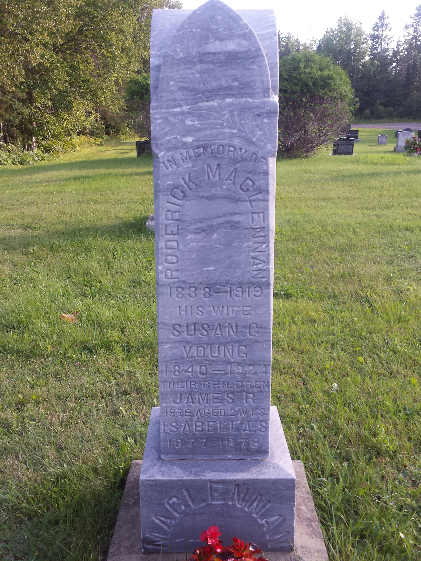 Photo of headstones/Roderick MacLennan died 1919 MI Pictou County, Nova Scotia
